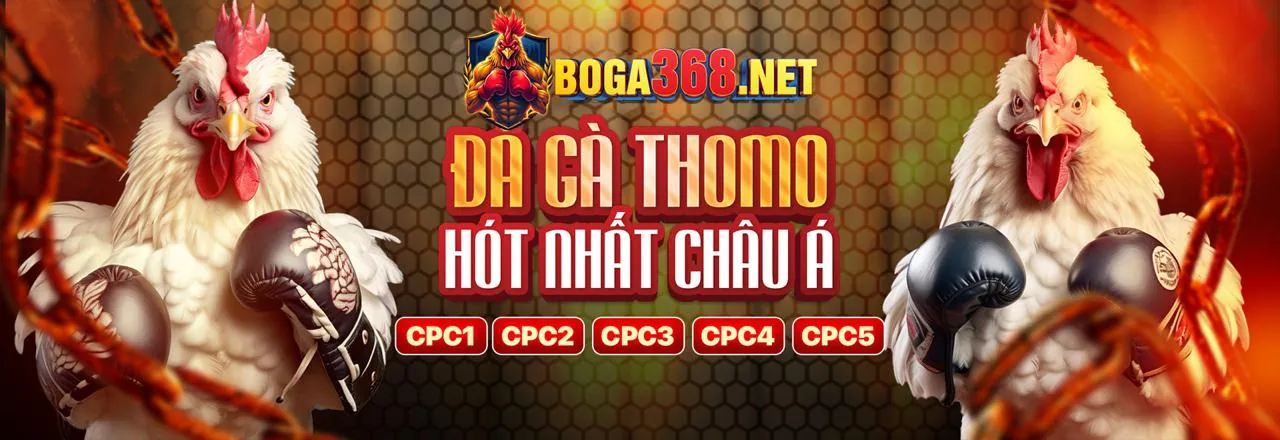 Tổng quan các loại khuyến mãi VN100