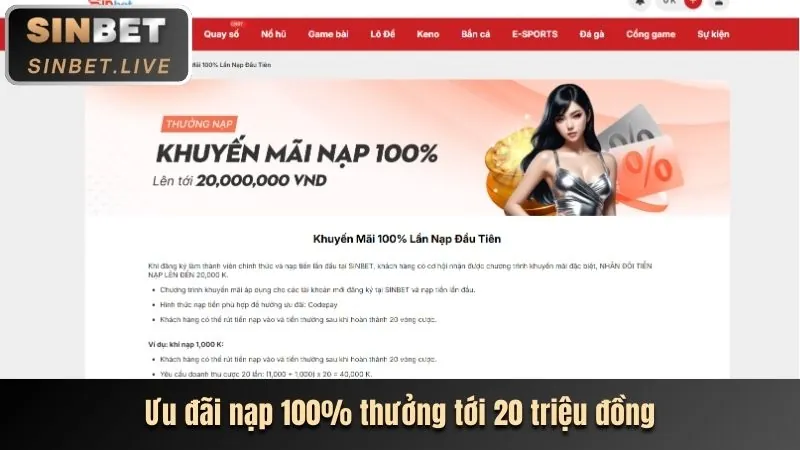 Hướng dẫn khuyến mãi vn100